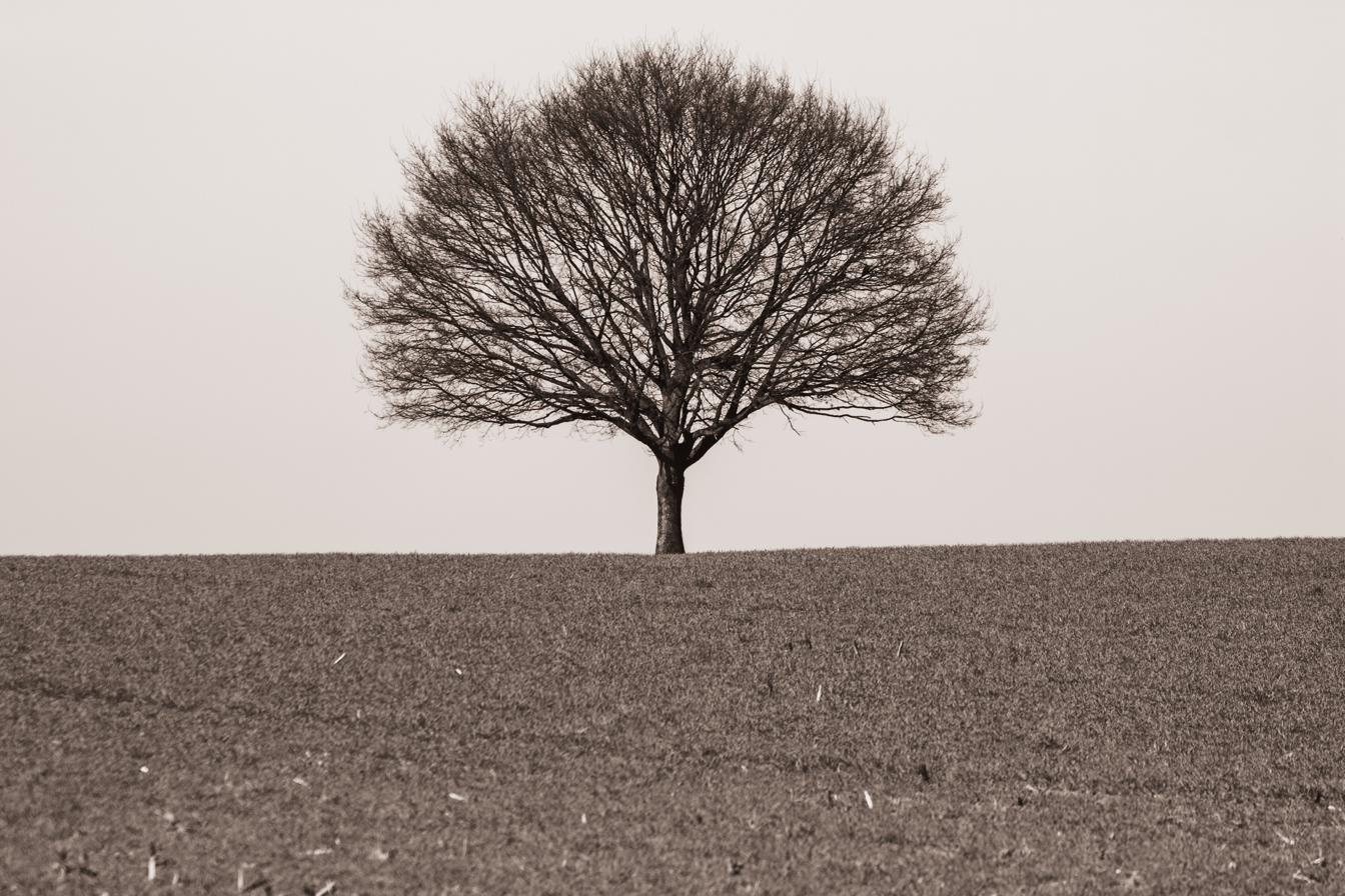 Landschaftsfotografie